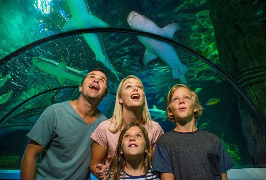 Visit the Korea Busan Sea Life Aquarium for a fun-filled family experience