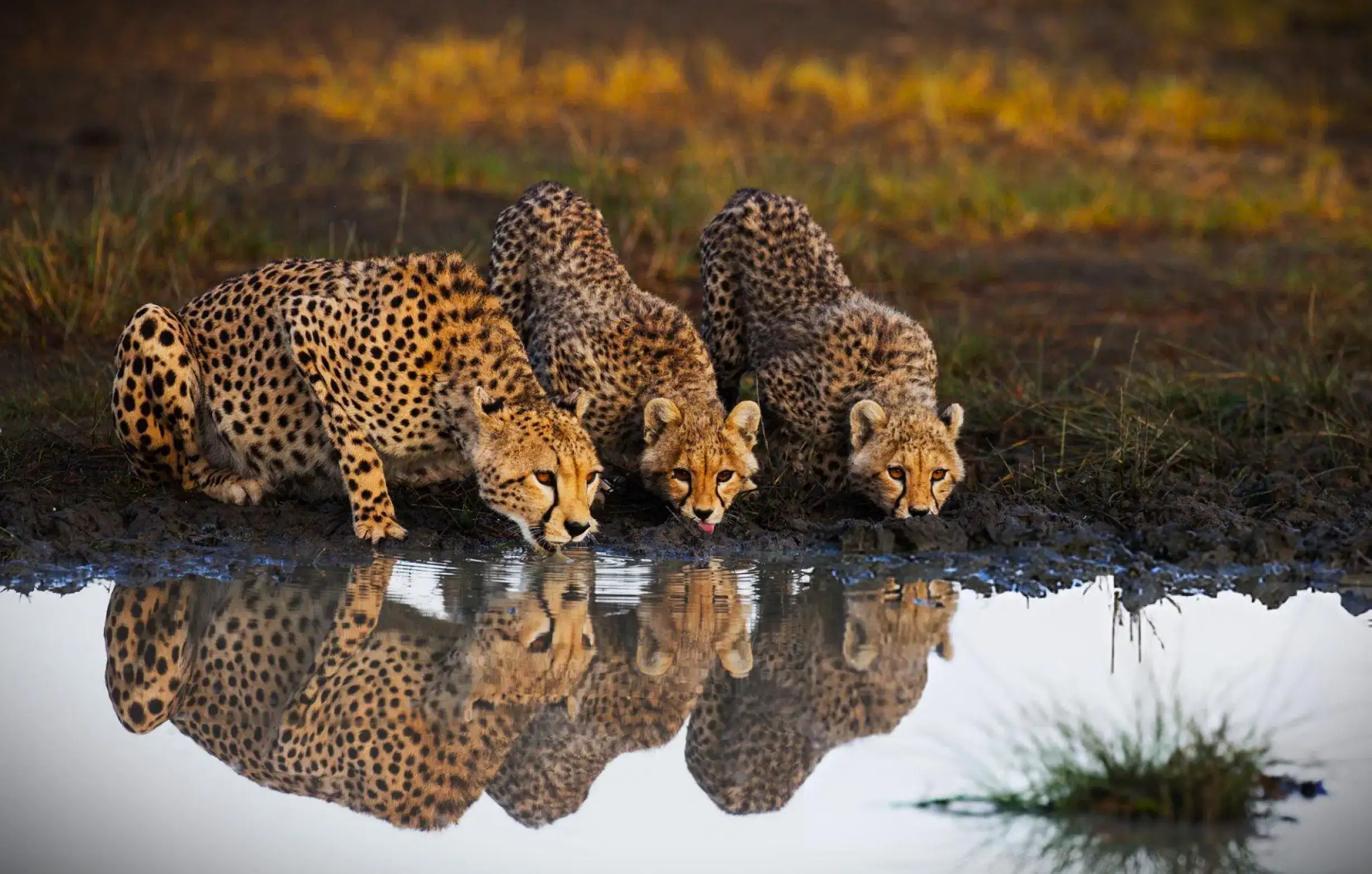 Kenya Highlights | Adventure in Heartland of Africa