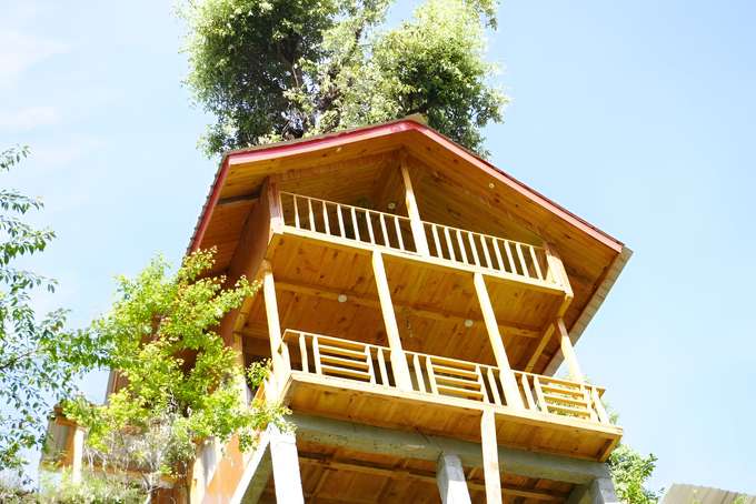 Reconnect with nature while enjoying modern comforts in a treehouse stay in Jibhi