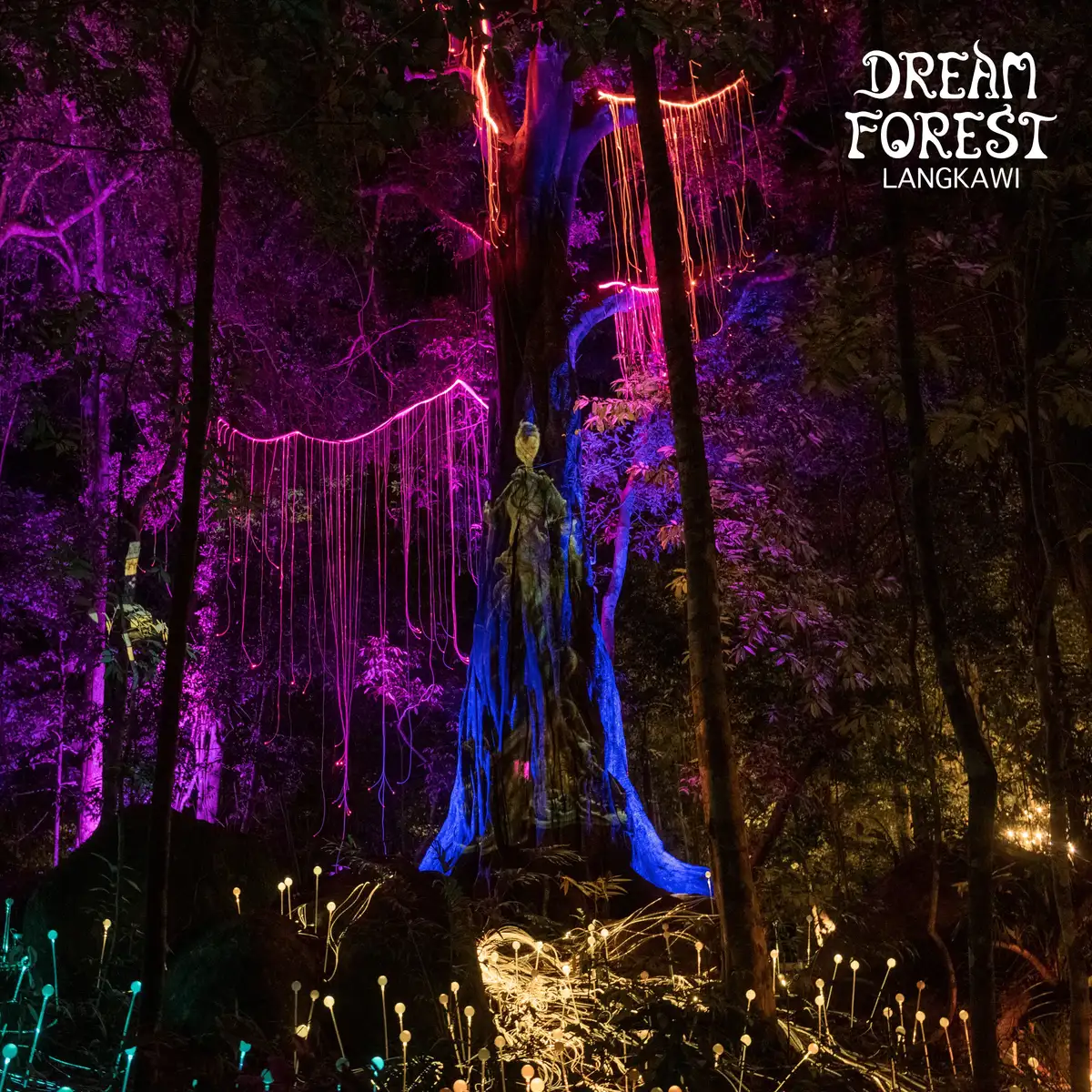 Dream Forest Langkawi Tickets  Image