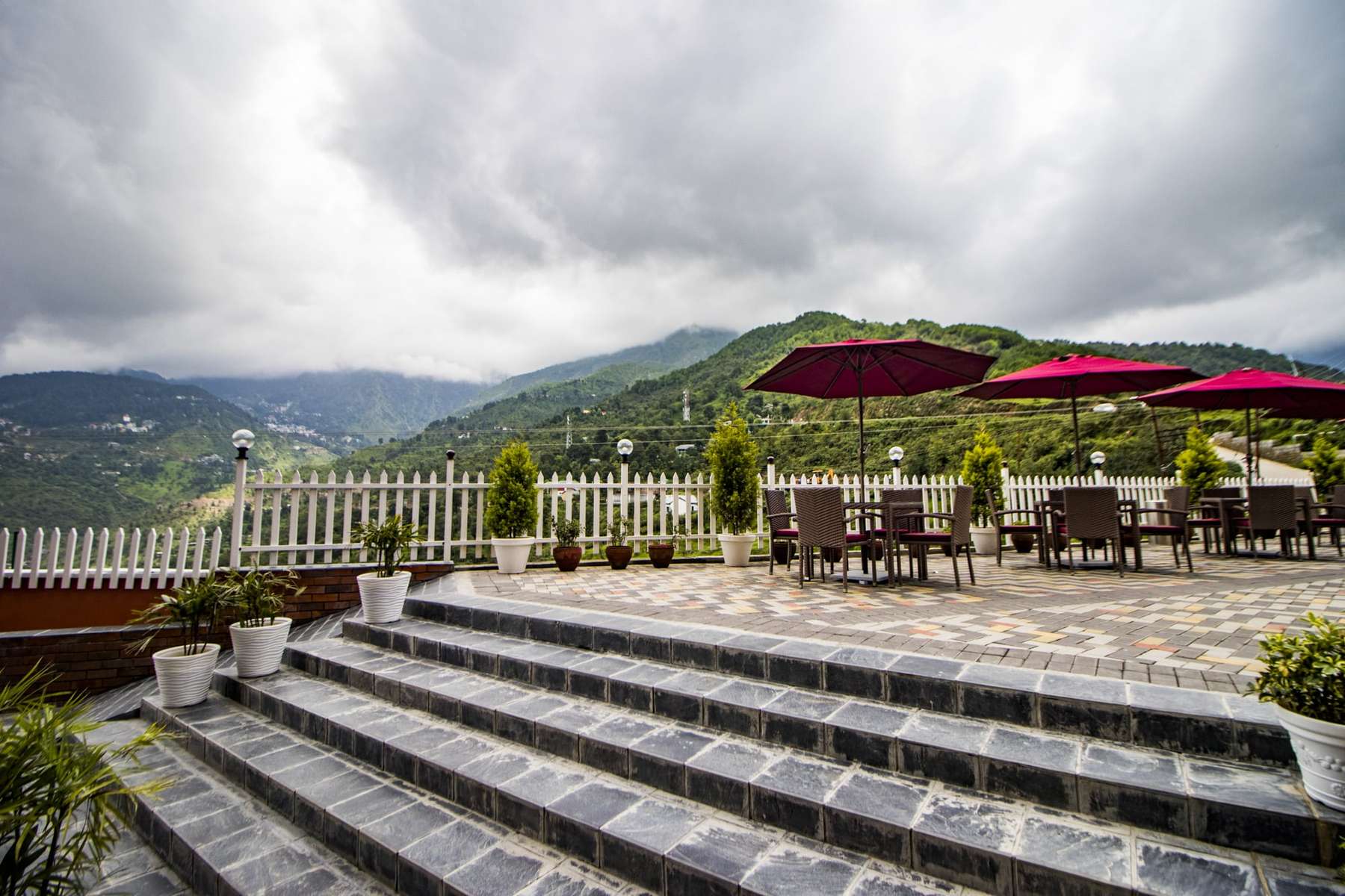 juSTa Birding, Dharamshala Image