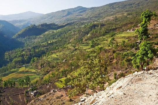 Ghorepani Poon Hill Trek Image