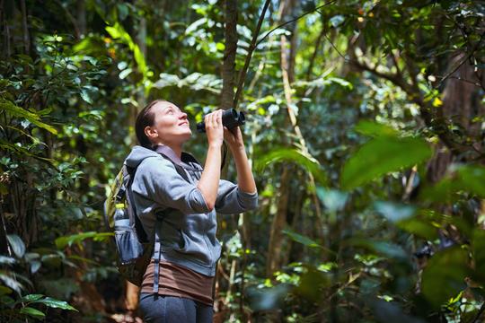 Spot rare birds and wildlife using binoculars on the trek through the tropical dry evergreen forest