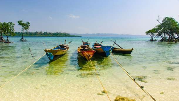 Evf0esb9ecoeeom6t44h1005y3kx havelock%20island 2