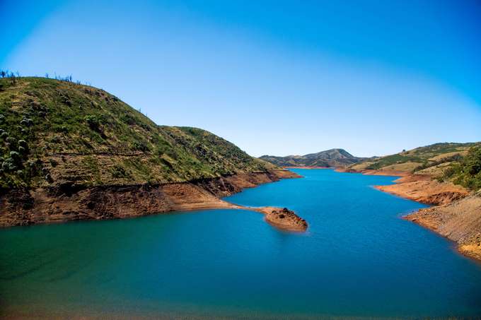 Avalanche Full Day Sightseeing Tour