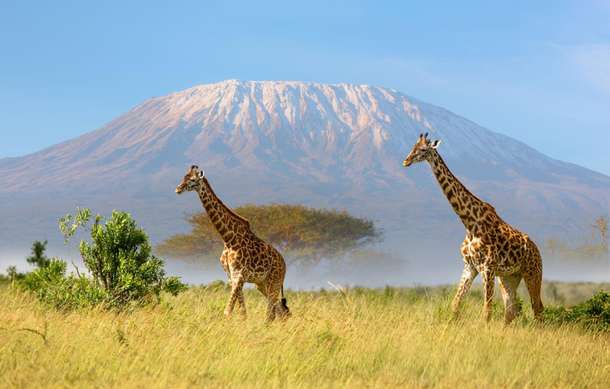 Ewvkxerlrpjj0upopydvrh5txj0y dl.beatsnoop.com 3000 q9lqh4m3lo