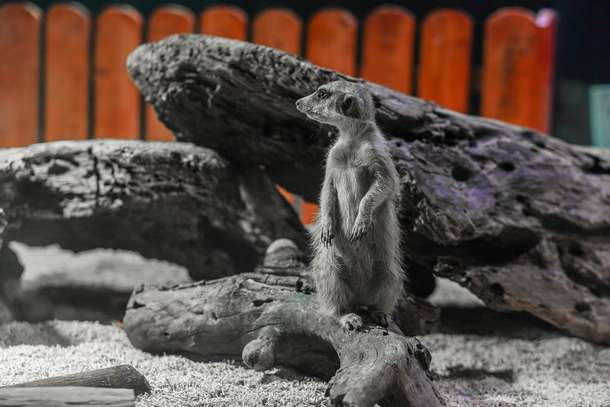 Ex76hcir5b3ncgole8i8ua83jrtq 481996684 996413159254485 3972233912504116604 n