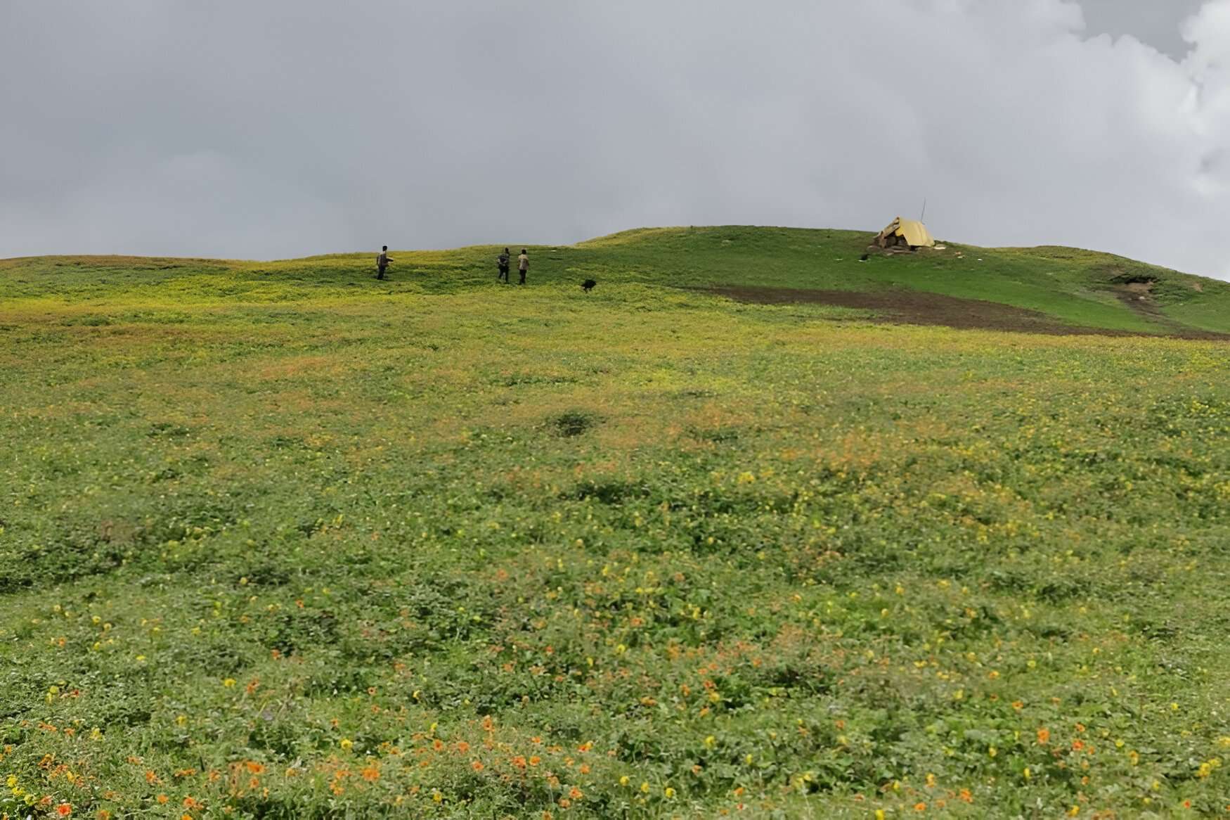 Rani Sui Lake Trek Image