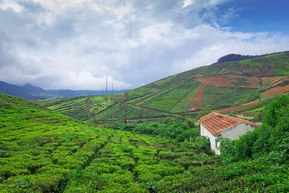 Virajpet Half Day Sightseeing Tour Coorg Image