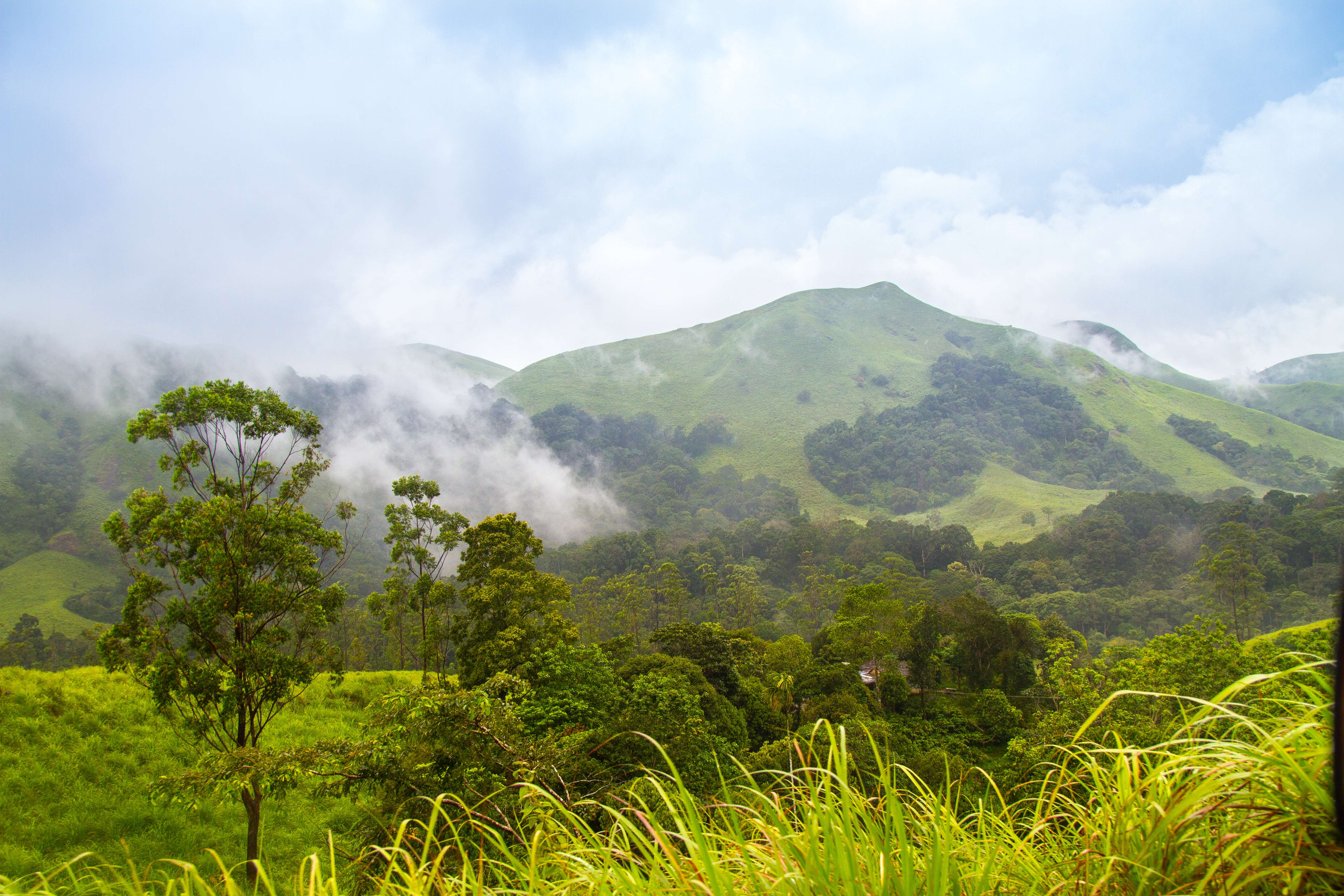 Marvel at the rolling hills that surround the Periyar Tiger Reserve 