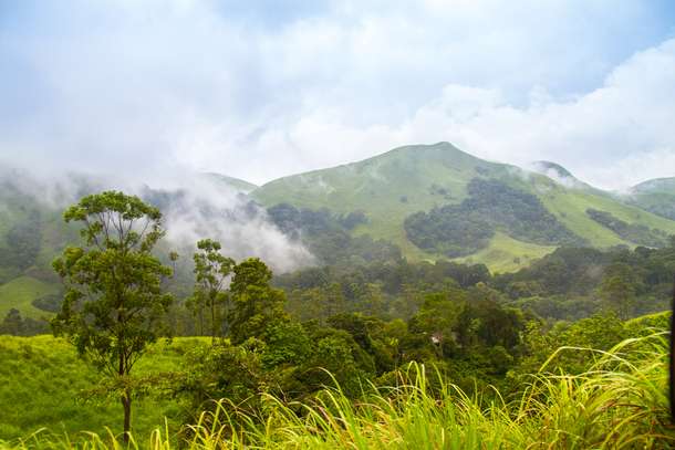 Marvel at the rolling hills that surround the Periyar Tiger Reserve 
