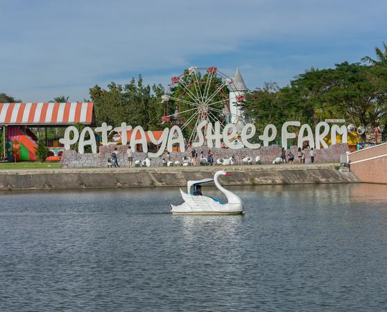 Pattaya Sheep Farm
