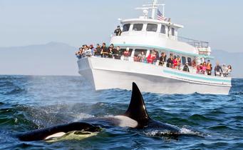 F1r8tkvhj0koscm27fc8h1ddpv6o 1562163247 1559106257 shutterstock 1091571485.jpg