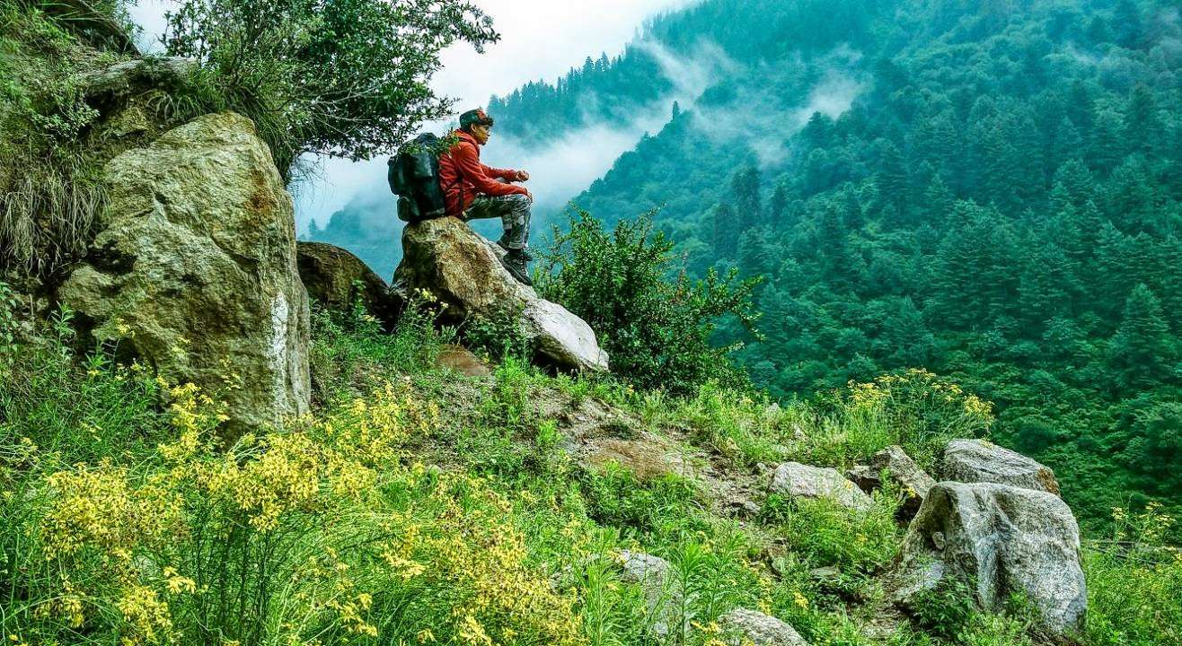 Enjoy camping in the natural surrounding of Jibhi, Himachal