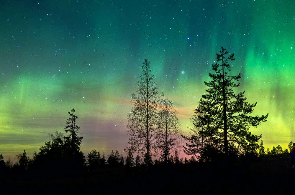 Tromso Northern Lights Tour Image