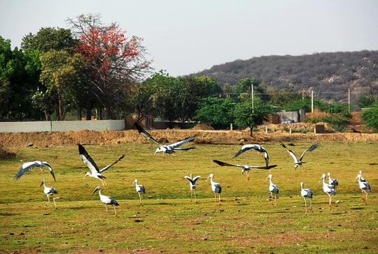 Camping Near Delhi For A Weekend Getaway Image
