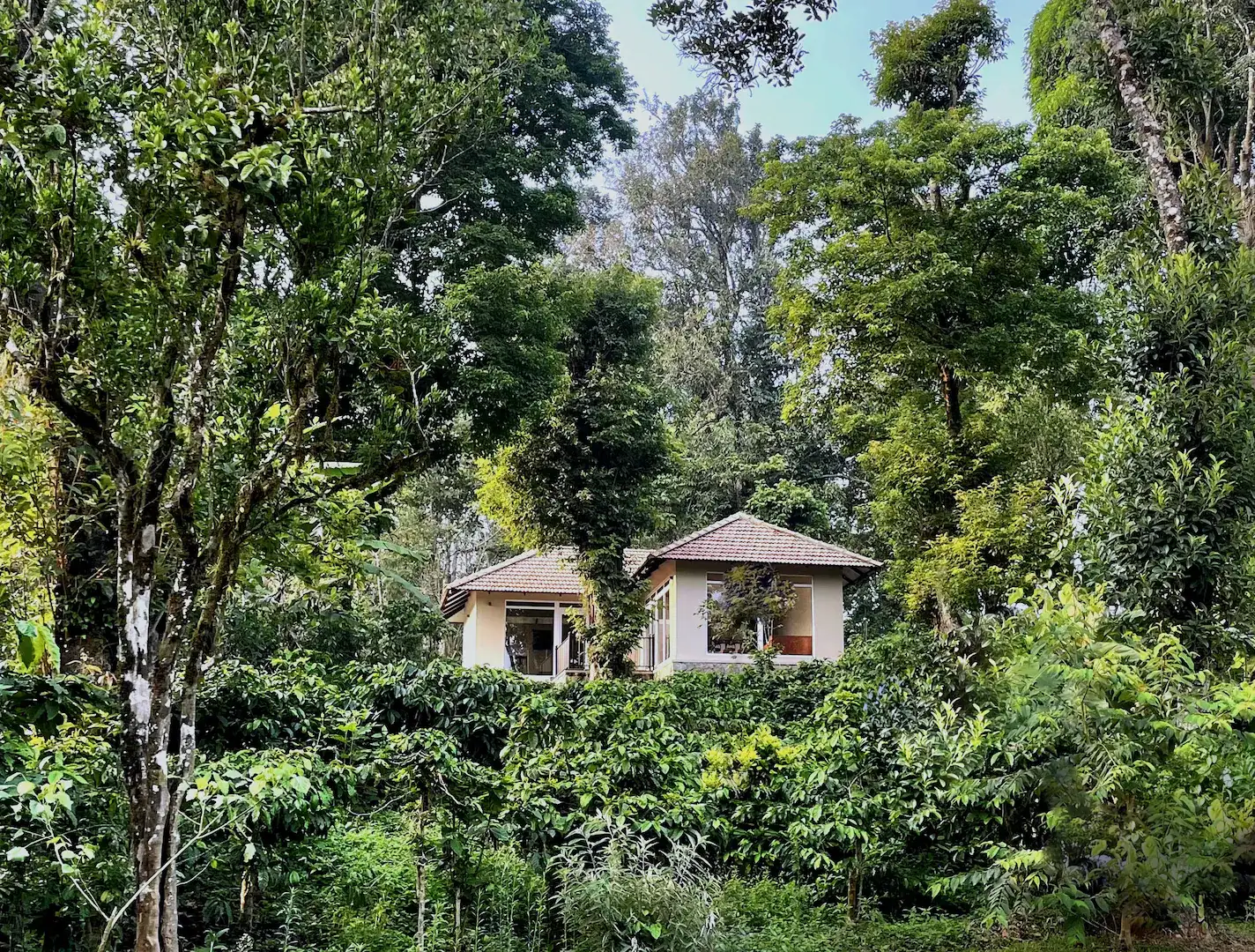 Montrose Golf Resort, Coorg Image