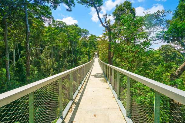 F38i75d3c7u0f50cjs4qgs8dnr2q 1558781883 shutterstock 1367414870