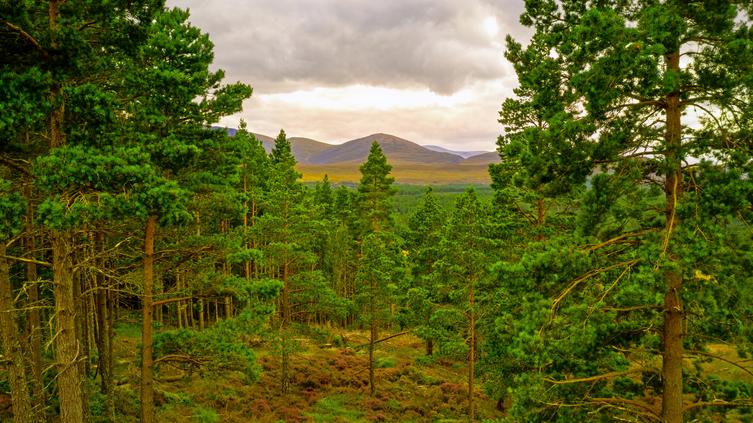 Cairngorms National Park