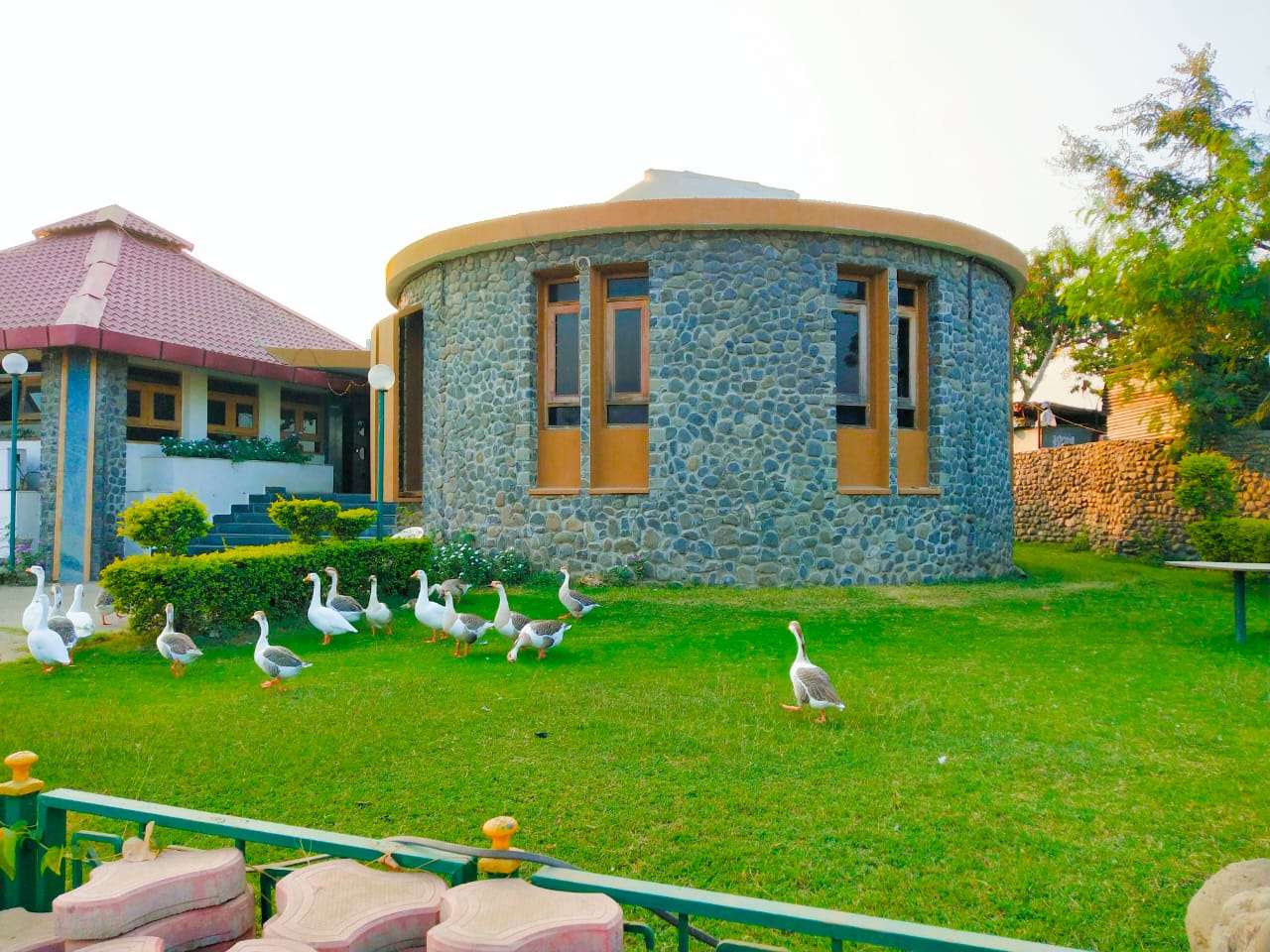 Palash Heritage Resort, Dhani | Luxury Staycation Deal