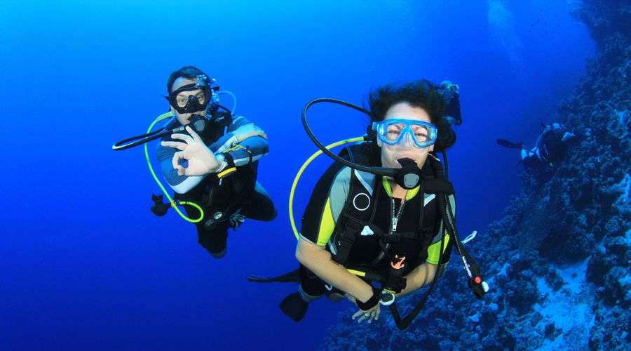 Scuba Diving in Gujarat Image