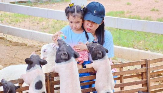 Pattaya Sheep Farm Ticket Image