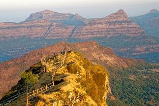 F4zatb1cy79ns0f24slkffwzzpbl 1592661325 shutterstock 1196209357