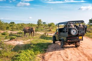 Jungle Safari in the Yala National Park