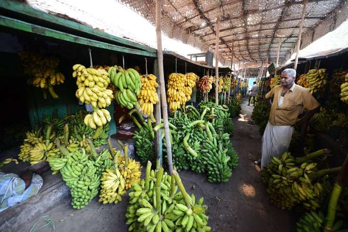 Marvel at the array of bananas from different regions in the market