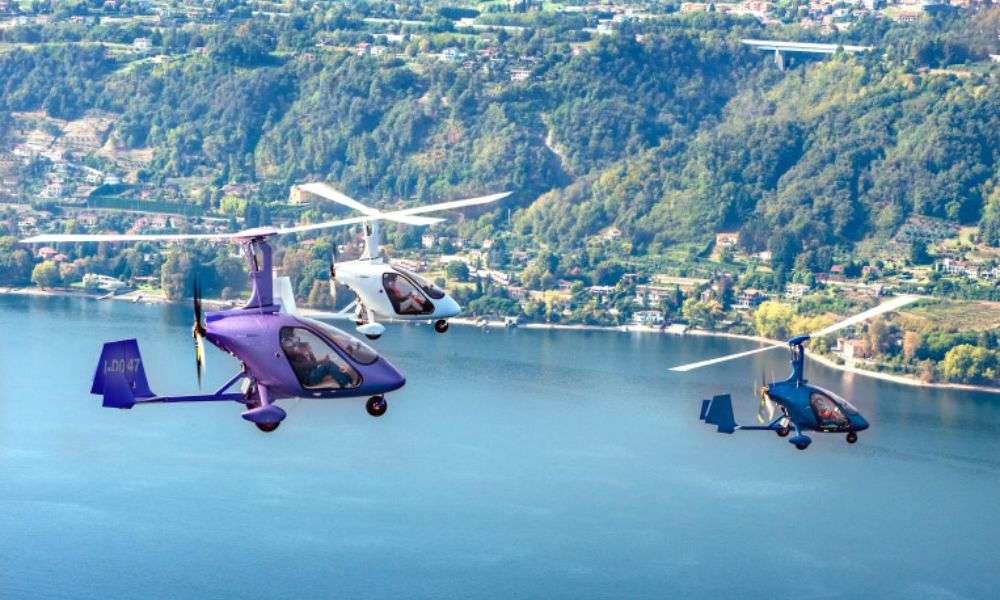 Microlight & Gyrocopter Flying Adventure at Lake Macquarie