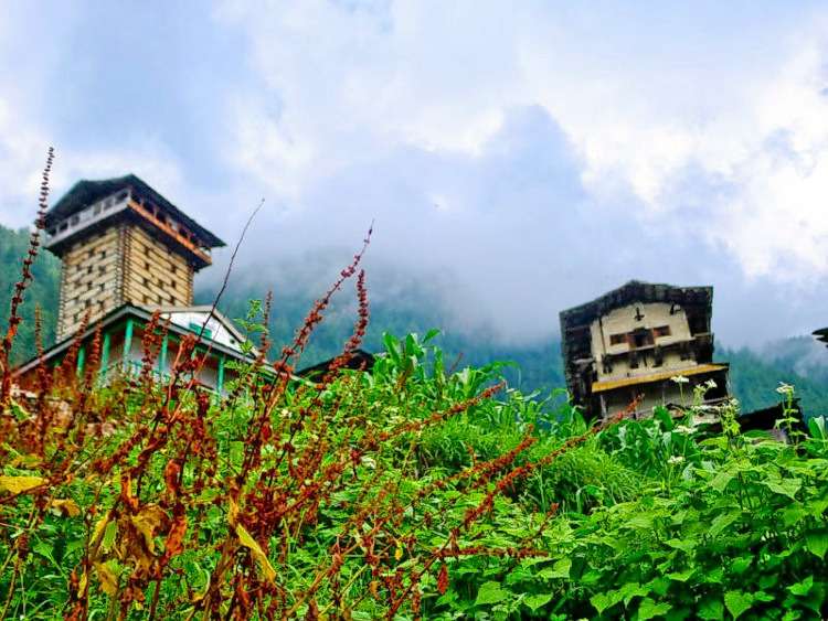 Trek To Chehni Kothi Image