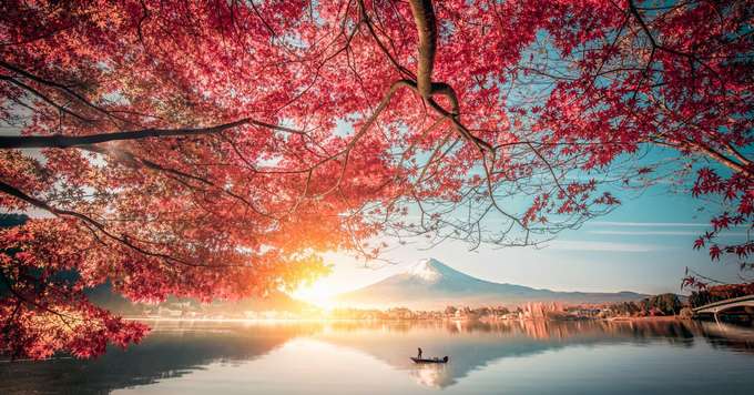 Mt Fuji view during Cherry Blossoms