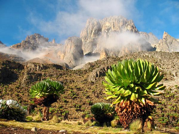 Mt. Kenya 