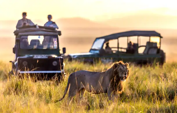 F6v48yop9788wrf788uzf3l552qt 7w8u59w2tof8pd9hfnie0xar0paf dl.beatsnoop.com 3000 qd1ntbp9km