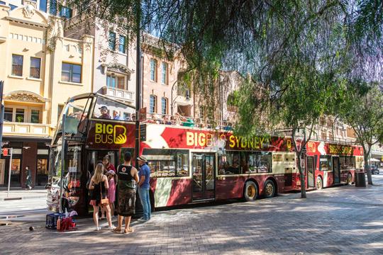 Hop on Hop off in Sydney Image