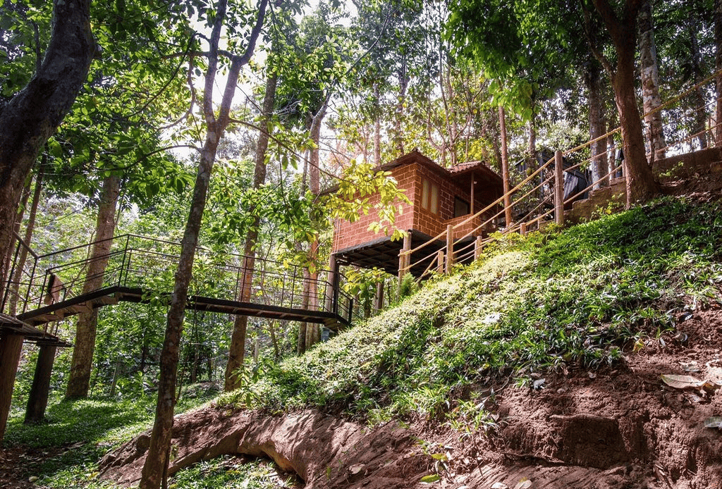A Jungle Escape In The Woods Of Wayanad