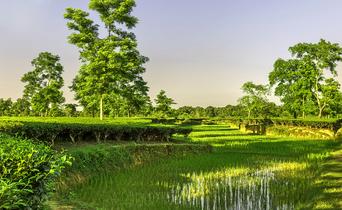 F7uxxlptlcokozda6dej62jdj593 1538575370 shutterstock 152681435