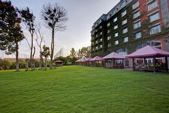 Royal Orchid Candle Light Dinner Image