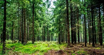 Farqfgcvi0qwgwuyjcq7276gbb8f 1571230279 20170826 oberhof dsc 2315