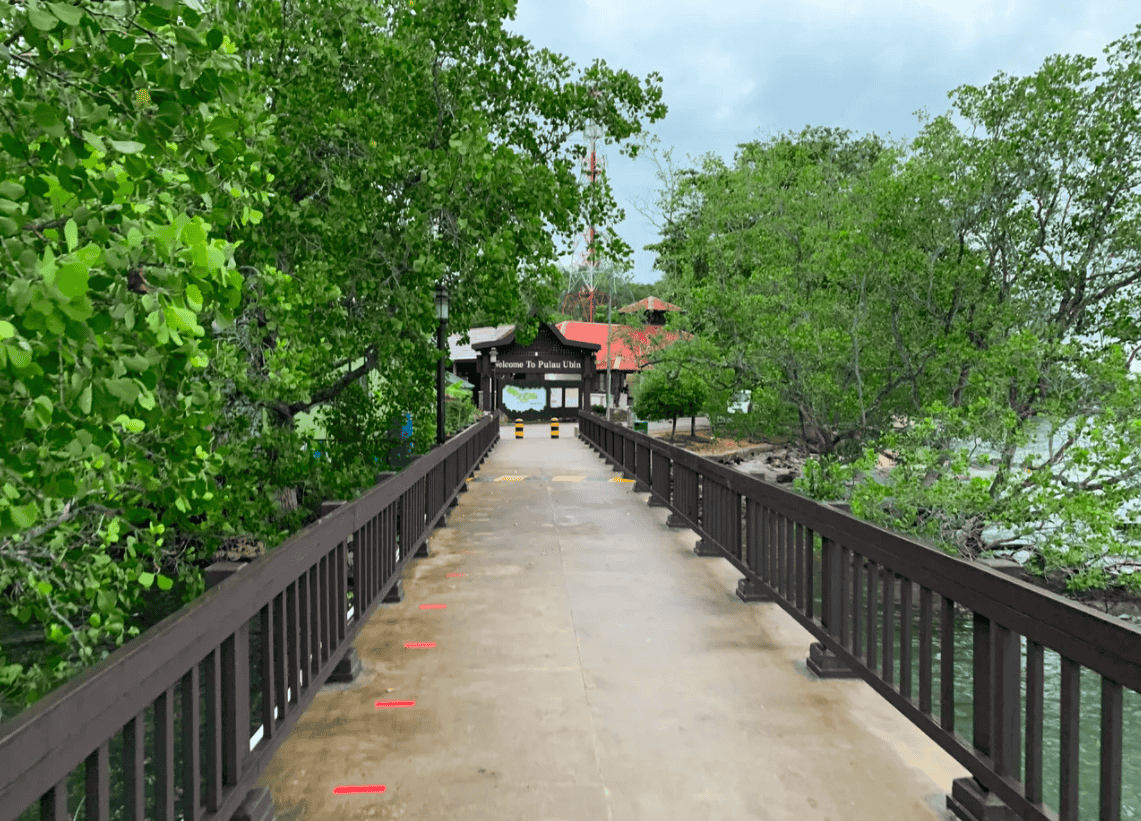 Pulau Ubin Bicycle Rental Image