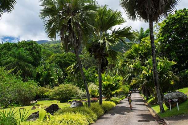 Fbpn2ek76za2q7kthqamjikz79eg victoria%20botanical%20garden 1