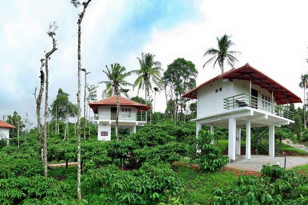 Exterior View of the Homestay