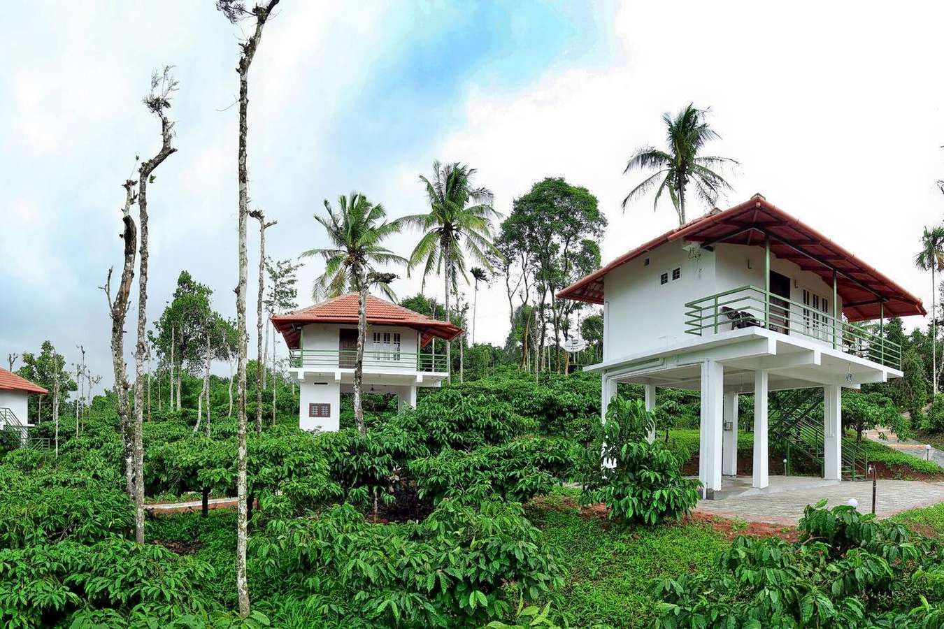 Exterior View of the Homestay
