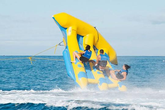 Flying Fish in Bali Image
