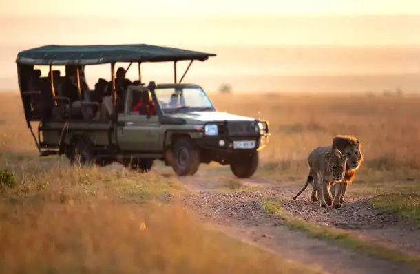 Fcyvuhp7gh8ezo1rhhwp6mxy1uo8 k239mp2zvkkt67sjlrj5okgzv80m shutterstock 2209161627