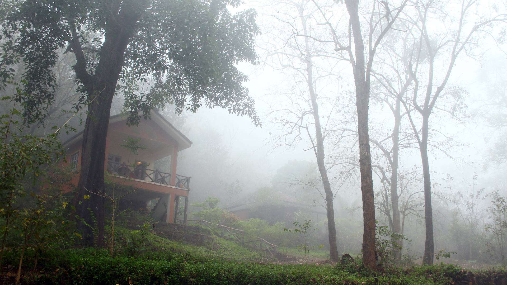 Hornbill River Resort, Dandeli | Luxury Staycation Deal