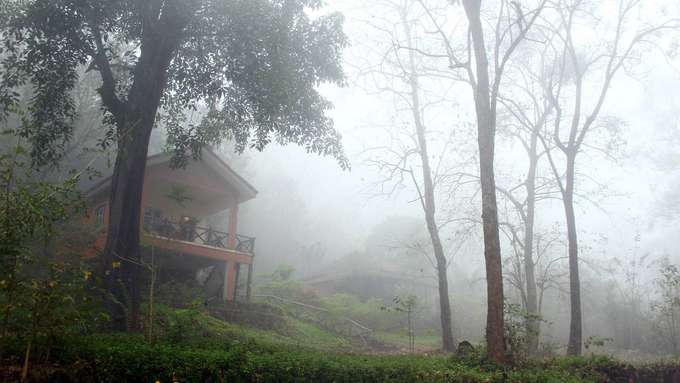 Hornbill River Resort, Dandeli | Luxury Staycation Deal