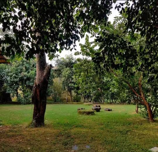 Camping At Pachmarhi Image