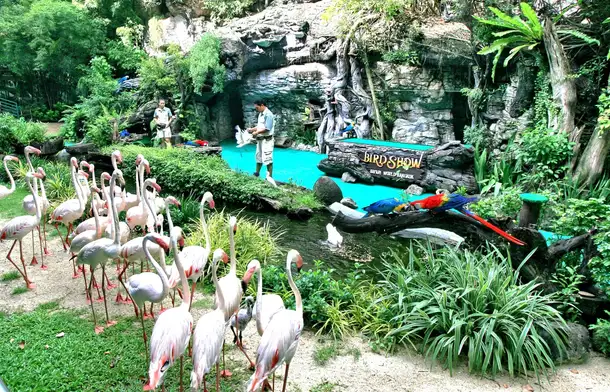 Ffgc5ekavk6j2of0k1jv48wn9koh safari%20world gallery 3