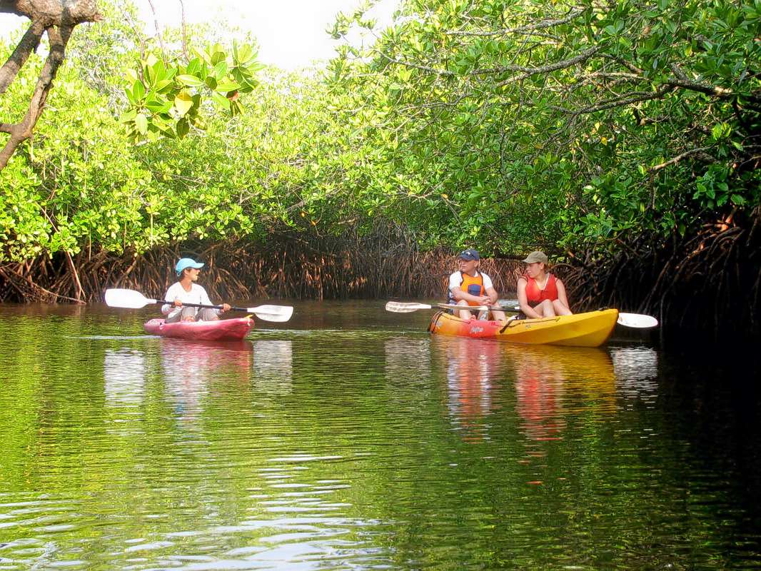 Kayaking in Andaman Image